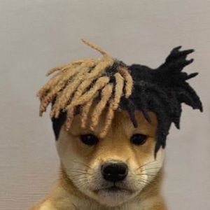 Meet your Posher, Jacob